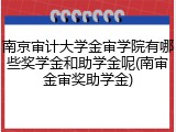 南京审计大学金审学院有哪些奖学金和助学金呢(南审金审奖助学金)