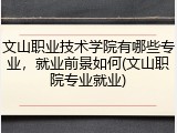 文山职业技术学院有哪些专业，就业前景如何(文山职院专业就业)