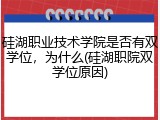 硅湖职业技术学院是否有双学位，为什么(硅湖职院双学位原因)