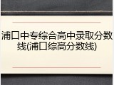 浦口中专综合高中录取分数线(浦口综高分数线)