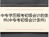 中专学历报考初级会计的条件(中专考初级会计条件)