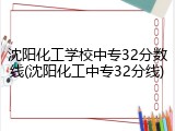沈阳化工学校中专32分数线(沈阳化工中专32分线)