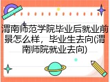 渭南师范学院毕业后就业前景怎么样，毕业生去向(渭南师院就业去向)