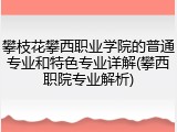 攀枝花攀西职业学院的普通专业和特色专业详解(攀西职院专业解析)