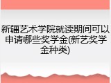 新疆艺术学院就读期间可以申请哪些奖学金(新艺奖学金种类)