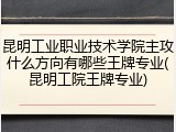 昆明工业职业技术学院主攻什么方向有哪些王牌专业(昆明工院王牌专业)