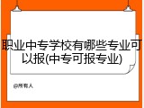 职业中专学校有哪些专业可以报(中专可报专业)