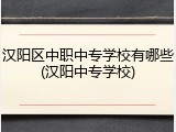 汉阳区中职中专学校有哪些(汉阳中专学校)