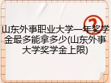 山东外事职业大学一年奖学金最多能拿多少(山东外事大学奖学金上限)
