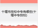 十堰市技校中专有哪些(十堰中专技校)
