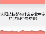 沈阳技校都有什么专业中专的(沈阳中专专业)