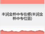 丰润金桥中专在哪(丰润金桥中专位置)