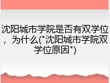 沈阳城市学院是否有双学位，为什么("沈阳城市学院双学位原因")