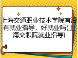 上海交通职业技术学院有没有就业指导，好就业吗(上海交职院就业指导)
