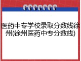 医药中专学校录取分数线徐州(徐州医药中专分数线)