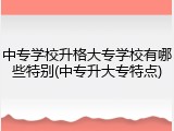 中专学校升格大专学校有哪些特别(中专升大专特点)