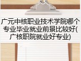 广元中核职业技术学院哪个专业毕业就业前景比较好(广核职院就业好专业)