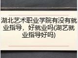 湖北艺术职业学院有没有就业指导，好就业吗(湖艺就业指导好吗)