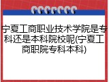 宁夏工商职业技术学院是专科还是本科院校呢(宁夏工商职院专科本科)