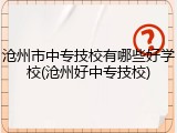 沧州市中专技校有哪些好学校(沧州好中专技校)