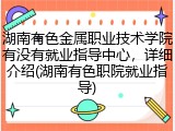 湖南有色金属职业技术学院有没有就业指导中心，详细介绍(湖南有色职院就业指导)