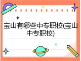 宝山有哪些中专职校(宝山中专职校)