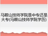 马鞍山技师学院是中专还是大专(马鞍山技师学院学历)