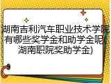 湖南吉利汽车职业技术学院有哪些奖学金和助学金呢(湖南职院奖助学金)