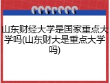 山东财经大学是国家重点大学吗(山东财大是重点大学吗)