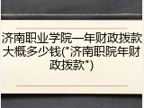济南职业学院一年财政拨款大概多少钱("济南职院年财政拨款")