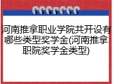 河南推拿职业学院共开设有哪些类型奖学金(河南推拿职院奖学金类型)