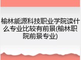 榆林能源科技职业学院读什么专业比较有前景(榆林职院前景专业)