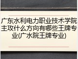 广东水利电力职业技术学院主攻什么方向有哪些王牌专业(广水院王牌专业)