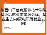陕西电子信息职业技术学院毕业后就业前景怎么样，毕业生去向(陕电职院就业去向)
