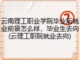 云南理工职业学院毕业后就业前景怎么样，毕业生去向(云理工职院就业去向)