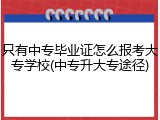 只有中专毕业证怎么报考大专学校(中专升大专途径)