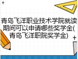 青岛飞洋职业技术学院就读期间可以申请哪些奖学金(青岛飞洋职院奖学金)