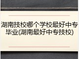 湖南技校哪个学校最好中专毕业(湖南最好中专技校)