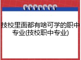 技校里面都有啥可学的职中专业(技校职中专业)