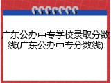 广东公办中专学校录取分数线(广东公办中专分数线)