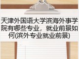 天津外国语大学滨海外事学院有哪些专业，就业前景如何(滨外专业就业前景)