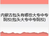 内蒙古包头有哪些大专中专院校(包头大专中专院校)