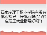 石家庄理工职业学院有没有就业指导，好就业吗("石家庄理工就业指导好吗")