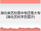 湖北省艺校是中专还是大专(湖北艺校学历层次)