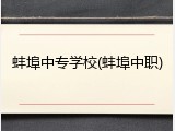蚌埠中专学校(蚌埠中职)