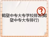 鹤壁中专大专学校排名(鹤壁中专大专排行)