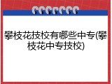 攀枝花技校有哪些中专(攀枝花中专技校)