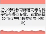 辽宁特殊教育师范高等专科学校有哪些专业，就业前景如何(辽宁特教专科专业就业)