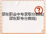 邵东职业中专录取分数线(邵东职专分数线)