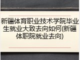 新疆体育职业技术学院毕业生就业大致去向如何(新疆体职院就业去向)